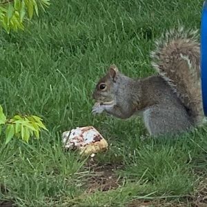 Meet your Posher, Sofia